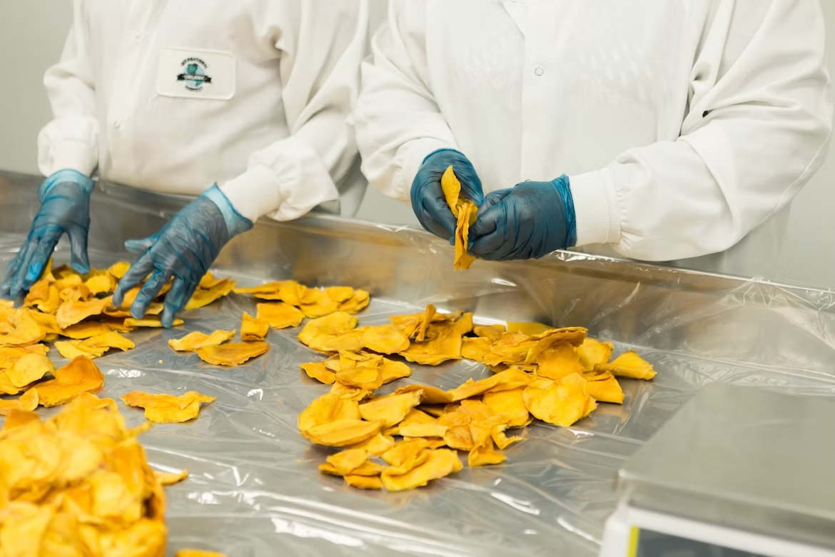 Alimentos y Agroindustria